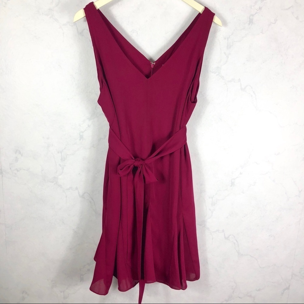 [Parker] Raspberry Shift Dress - Picture 3 of 6